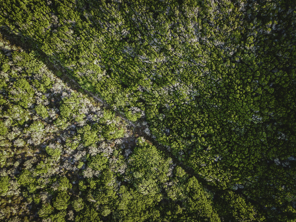 Makaala Farmsteads — agricultural land